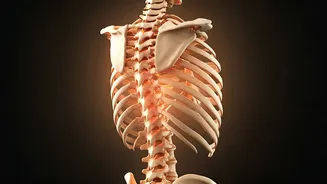 Decode Your Body: Posture and Stress Explained