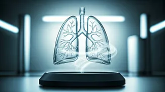 Breathing Easy: The Pursuit of Clean Air