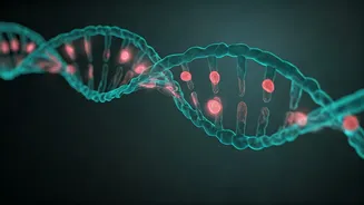 Unlocking Breast Cancer Prevention: Understanding Your Genetic Blueprint for a Healthier Future