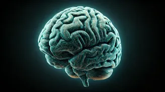 5 Mental Exercises for Sharper Brain Power