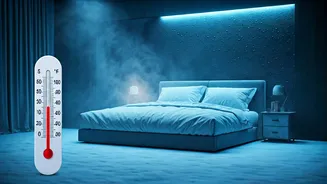 Nick Jonas Loves a Frigid Room for Sleep: Unpacking the Science of Temperature and Rest