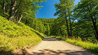 Stay Active: Boost Your Well-being Daily