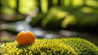 Lower Cortisol Naturally With These Methods