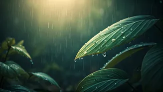 Devshayani Ekadashi Gives Monsoon A Spiritual Frame