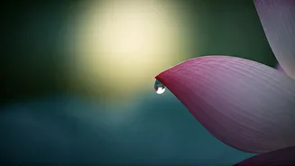 Less Skincare, More Glow This Monsoon