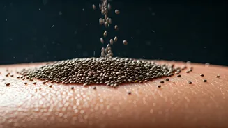 5 Skin-Boosting Benefits of Chia Seeds: A Guide