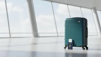 A Closer Travel Look At Paper Trails When Luggage Goes Missing After The Recent Late-Baggage Consumer Ruling