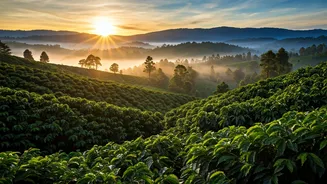 Discounted Stays Make Coorg Look Extra Tempting