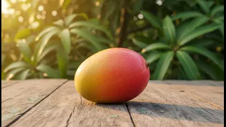 A Mango's Name Can Carry Geography, Language and Family History