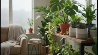 Simple Indoor Gardening Ideas For Rainy Days
