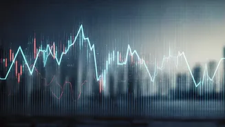 Market Downturn Impact: Coforge & Mid-Cap Losers