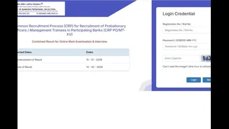 IBPS PO, SO Result 2025 Declared: Check Direct Link To Download; What's Next