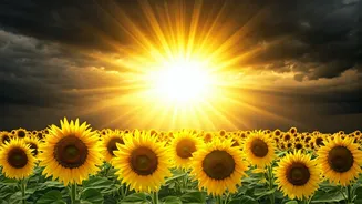 Boost Your Confidence: 5 Proven Tips to Shine