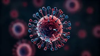 Nipah Virus: Symptoms, Spread, and Prevention