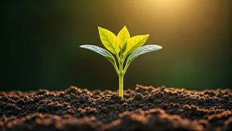 Bill Gates' Wisdom: Why Patience is Your Child's Secret Ingredient for Success