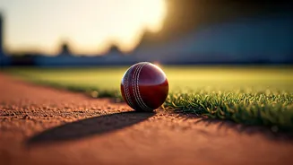How are cricket pitches different across the world?