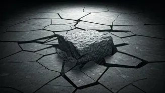 Delhi Police Bail Opposition, Stirring Debate