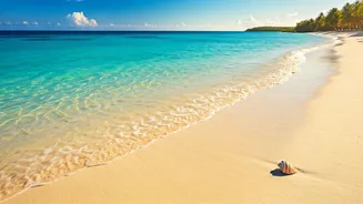 India's Pristine Shores: Discover the Top Blue Flag Certified Beaches for a Spotless Seaside Escape