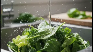 Why Food Hygiene Matters More During India's Peak Monsoon Months