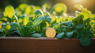Your Terrace Veggie Patch Might Come With Government Cheque Attached