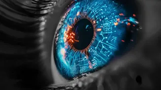 How Developers Maintain Privacy While Analysing Open-Source Code With Local AI Plugins