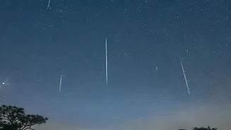Where To Find Clear Unpolluted Skies Across India For Peak Meteor Shower Views