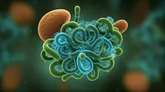 Fiber Frenzy: From Cereal Ads to Corporate Strategies, Why Fiber is the New Buzzword