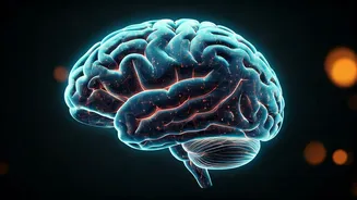 5 Exercises Your Brain Needs: Boost Focus & Memory