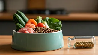 Why Quality Nutrition Eliminates Need For Artificial Pet Supplement Elements