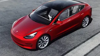 A Tesla Display Shows Gurugram's Road Users as a Dense Visual Cluster