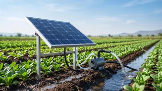 Off-Grid Micro-Pumps Enable Year-Round Farming For Maharashtra Smallholders