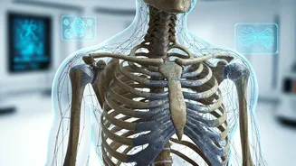 Unbreakable Bones & Healing: Reality vs. X-Men