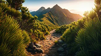 Chogoria Route: Unveiling Mount Kenya's Secluded Trekking Paradise