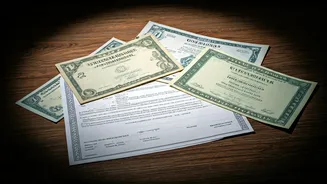 Navigating the Stock Market: Insights & Tools