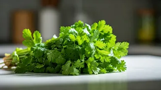 Unlock Weeks of Freshness: Effortless Coriander Storage Hacks for Indian Kitchens