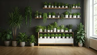 Indoor Gardening Becomes Lifestyle Statement