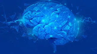 How to Check AI Images When Metadata Has Been Removed