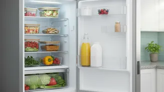 Check Shelf Rules Before Making A Decision About A Shared-Fridge Agreement