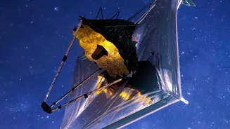 Space Readers Need a Clearer View of Active Black Holes after the Latest Webb Study of Little Red Dots