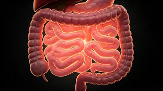 Can Walking After Eating Help Digestion Naturally?