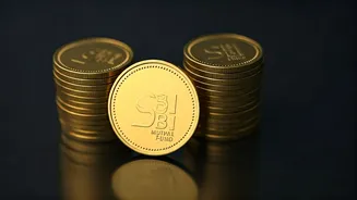 SBIMF IPO: What Investors Need to Know