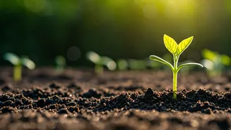 Nurturing Future Leaders: What Parents Need to Know