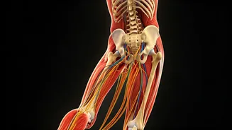 Exercise & Energy: Busting Metabolic Myths!