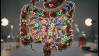 Why Your Body May Not Absorb All the Protein You Eat
