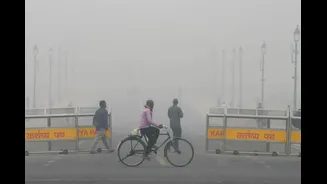 Weather News Today Live Updates: Dense Fog Disrupts Over 75 Flights At Delhi Airport; Trains Also Delayed