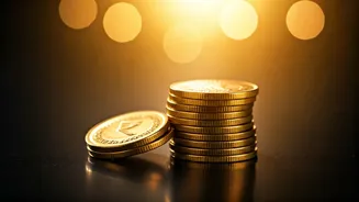 Indian Stock Market: Top Stocks for Potential Growth