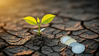 Related Stories banner