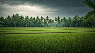 Rainy Kerala Is Lush, Slow And Surprisingly Affordable