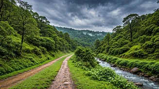 Take The Road Less Travelled This July
