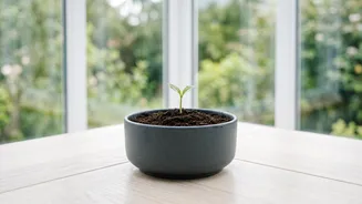 How To Turn Kitchen Vegetable Scraps And Coffee Grounds Into Nutrient-Rich Plant Compost